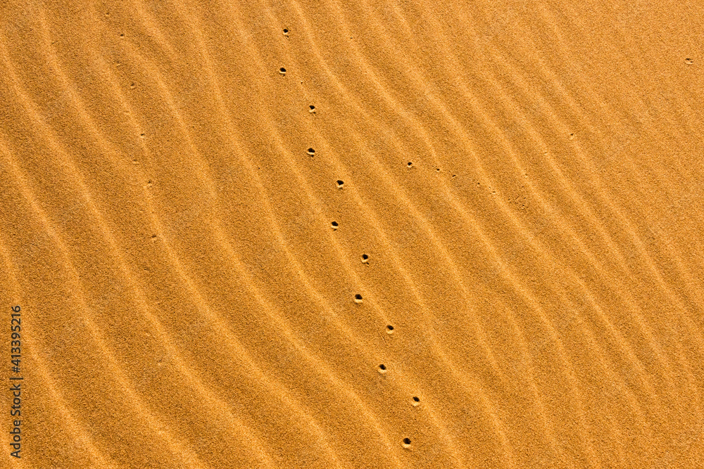 Sand patterns of the Singing Dunes, the only sand dune in Kazakhstan, Altyn-Emel National Park, Kazakhstan