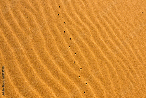 Sand patterns of the Singing Dunes  the only sand dune in Kazakhstan  Altyn-Emel National Park  Kazakhstan