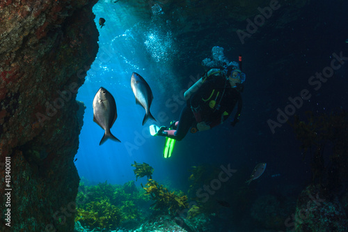 Diver swimming through a sea cave with fish in foreground near Poor Knights Islands, North Island, New Zealand. photo