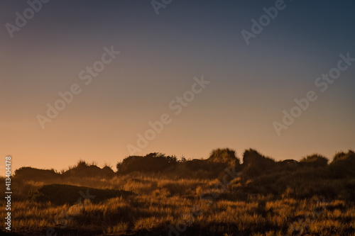 Grass dunes at sunset, copy space for text