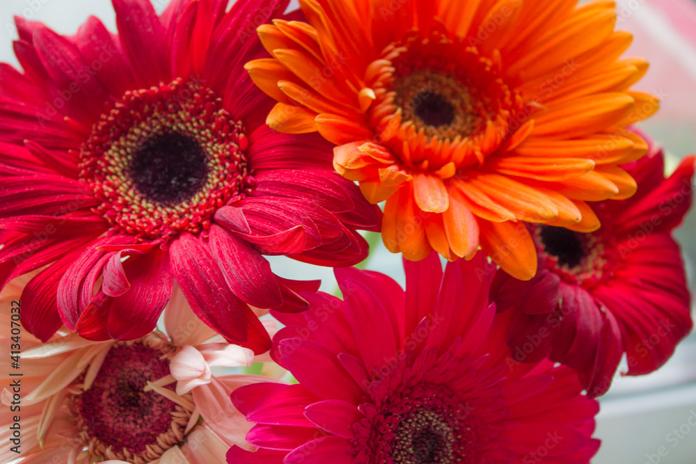 Bouquet of gerberas. Red gerberas, orange gerberas, pink gerberas. Very beautiful flowers. Flower shop. Bouquet of gerberas. Red gerberas, orange gerberas, pink gerberas. Very beautiful flowers. Flower shop.
