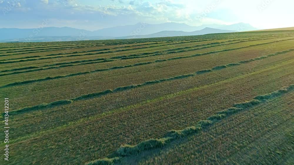 Drone forward motion over agricultural field surface texture, beautiful rural countryside with mountains range blue sky horizon Drone forward motion over agricultural field surface texture, beautiful rural countryside with mountains range blue sky horizon