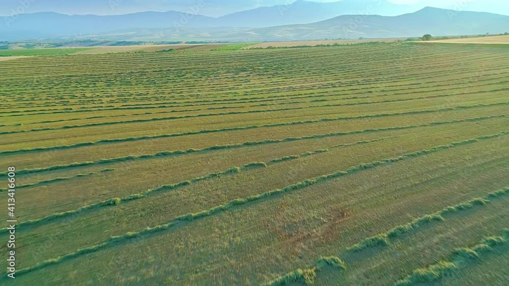 Aerial forward motion view on cultivated field surface texture, beautiful rural countryside with mountains range horizon Aerial forward motion view on cultivated field surface texture, beautiful rural countryside with mountains range horizon