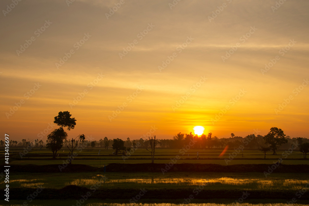 The sun rises with a dramatic sky over the rice fields, Thailand.