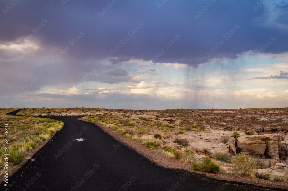Fototapeta premium A rainstorm approaches in the Painted Desert of Petrified Forest National Park, Arizona