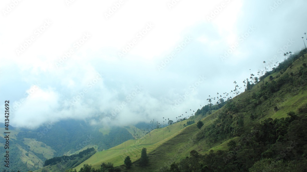Fototapeta premium El cerro.