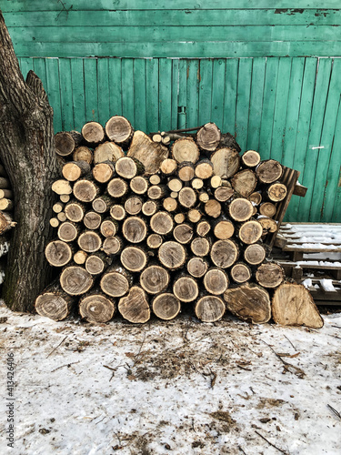 The background consists of saws of thick logs stacked on top of each other in the form of a woodpile. Annual rings are visible on the cross-section of the trunks. 