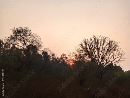 Wallpaper Mural sunset in the forest Torontodigital.ca