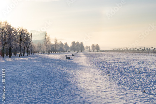 winter landscape with frost on the trees