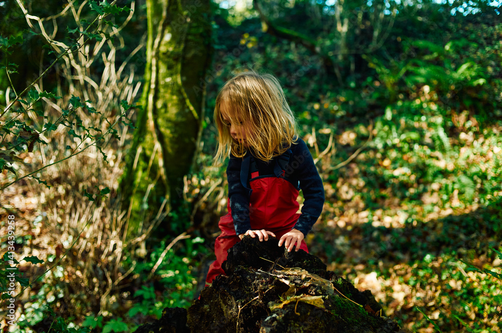Preschooler sitting on the ground in nature on a sunny autumn day Preschooler sitting on the ground in nature on a sunny autumn day
