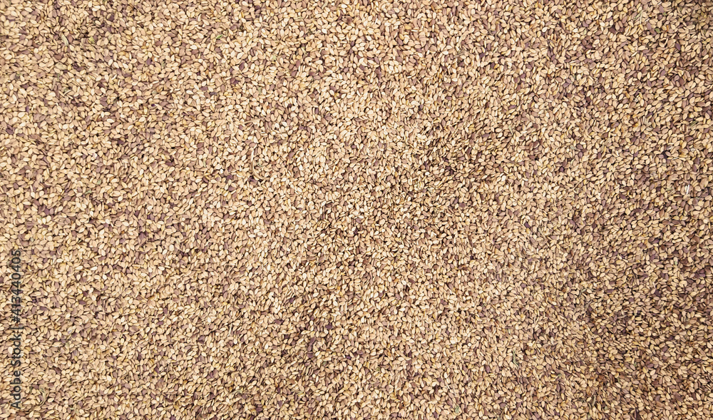 Sesame seeds photo background, common ingredient of asian food Sesame seeds photo background, common ingredient of asian food