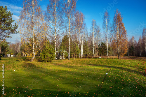 Autumn forest scenery pines abandoned in Belarus Minsk