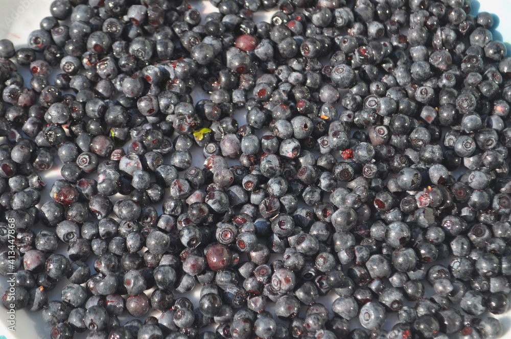 prune fruit food prune fruit food