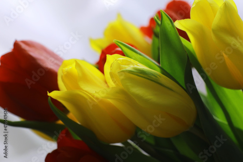 Flowers  spring holidays and home decor concept - Bouquet of beautiful tulips  floral background