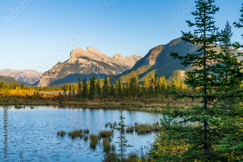 Vermilion Lakes autumn foliage scenery in dusk. Banff National Park  Canadian Rockies  Alberta  Canada. Colorful trees in orange  yellow  golden colors. Mount Rundle  Sulphur Mountain in background.