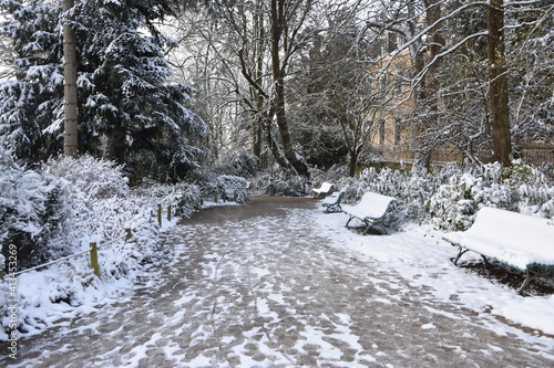 Rennes, Thabor, parc, neige