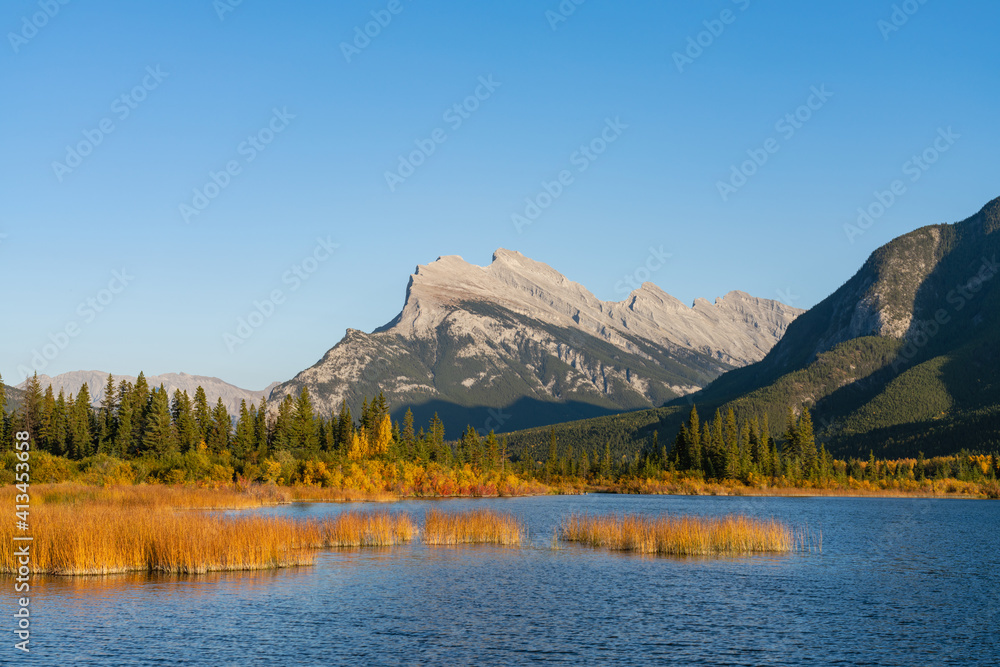 Vermilion Lakes and Mount Rundle autumn foliage scenery in sunset time. Banff National Park, Canadian Rockies, Alberta, Canada. Colorful trees and water plants with yellow, orange, golden colors. 