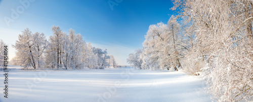 Panorama of beautiful winter park