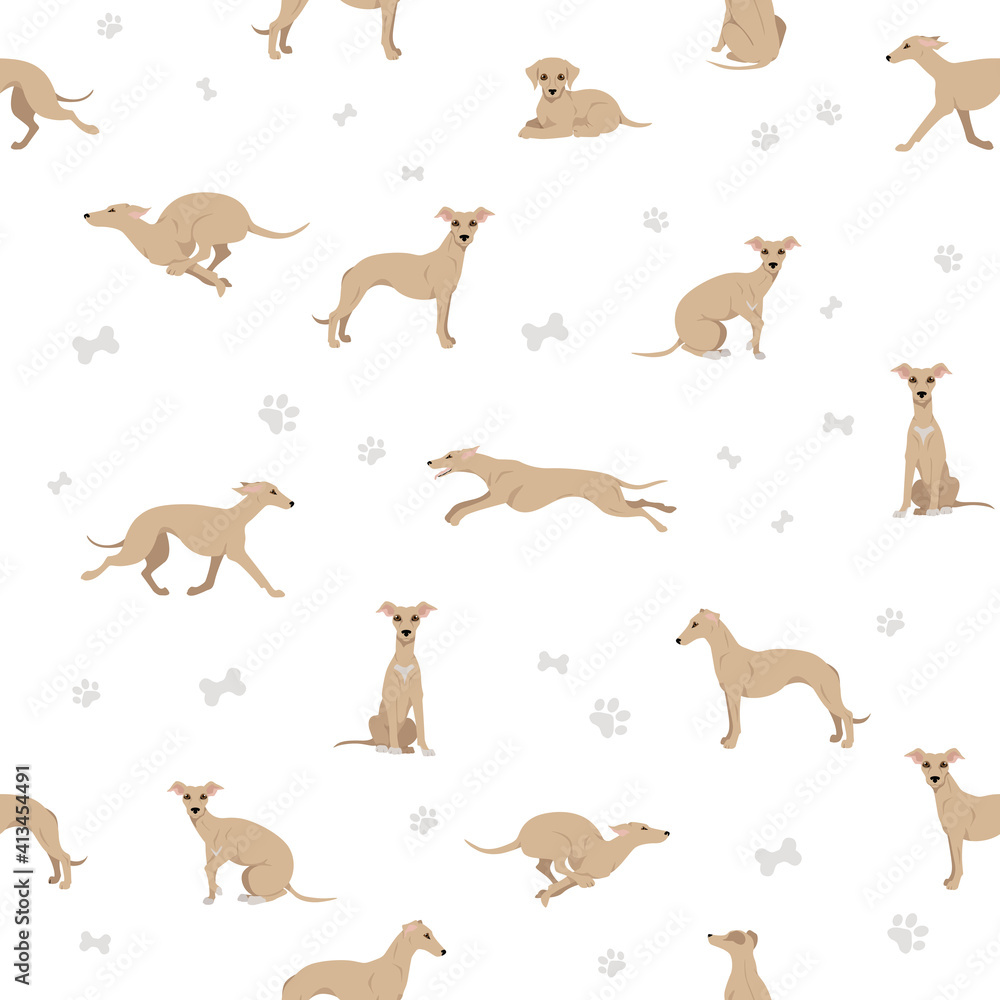 Whippet seamless pattern.  Different poses, coat colors set.