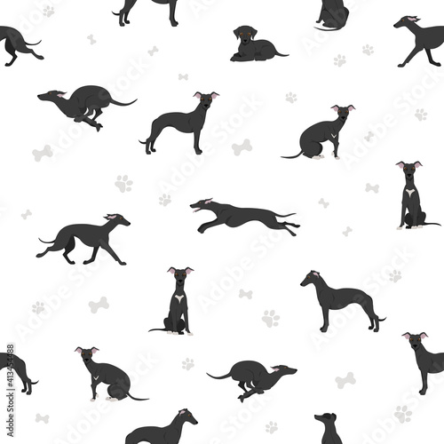 Fotografija Whippet seamless pattern.  Different poses, coat colors set.
