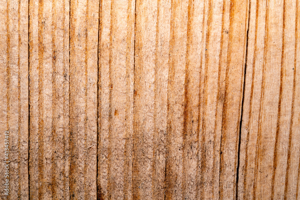 Texture of wood background closeup Texture of wood background closeup