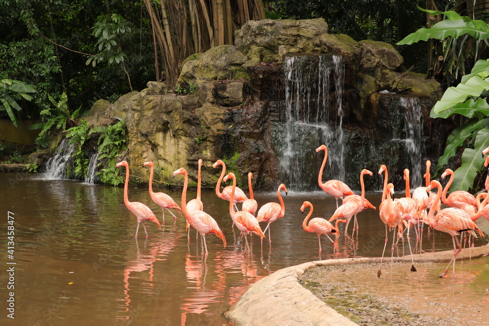 Naklejka premium bird