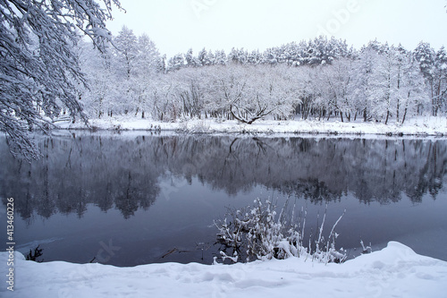 Trees covered with snow on the shore of the lake.