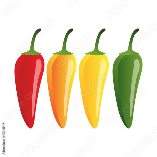 raw green, red, yellow, green jalapeno pepper. vector illustration