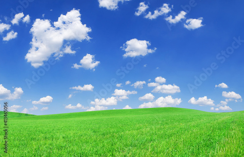 Idyllic view  green field and the blue sky with white clouds