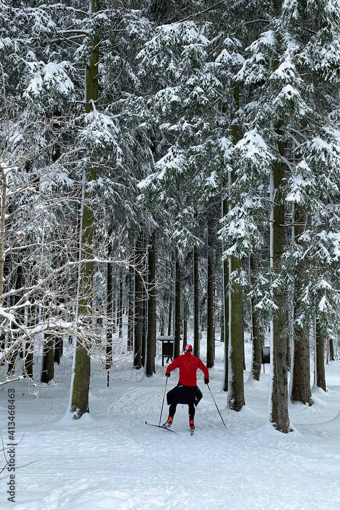 sportlicher Skifahrer im Thüringer Wald sportlicher Skifahrer im Thüringer Wald