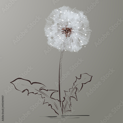 Dandelion. Vector illustration. Abstract summer dandelion