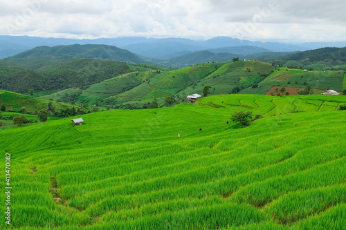 Pa Pong Piang Rice Terraces in the north of chiangmai Thailand..