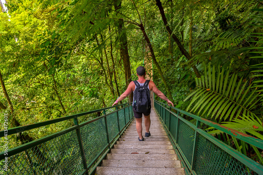 Mistico Arenal Hanging Bridges, man hiking in green tropical jungle, Costa Rica, Central America. Cloud forest.