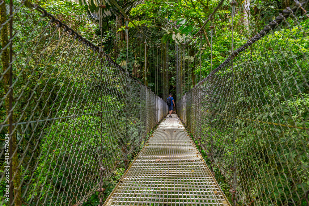Fototapeta premium Arenal Hanging Bridges, man hiking in green tropical jungle, Costa Rica, Central America.