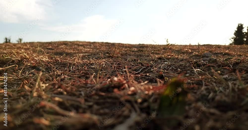 Dawn in the mountains and a guy on a hill. Top view from a drone. Green hills covered with grass, trees grow in places and you can see forest. A guy walks, stands, or runs. On hill trail and camping. Dawn in the mountains and a guy on a hill. Top view from a drone. Green hills covered with grass, trees grow in places and you can see forest. A guy walks, stands, or runs. On hill trail and camping.