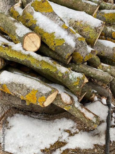 Fototapeta Naklejka Na Ścianę i Meble -  buches de bois sous la neige