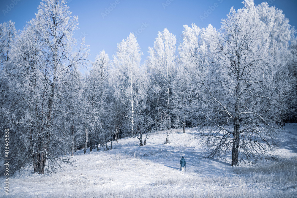Senior woman walking in the winter forest using Nordic walking sticks. Active lifestyle, adventure concept. Nordic walking in winter Senior woman walking in the winter forest using Nordic walking sticks. Active lifestyle, adventure concept. Nordic walking in winter