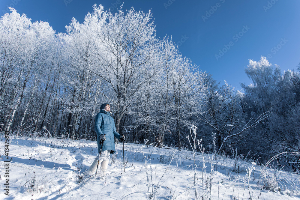 Senior woman walking in the winter forest using Nordic walking sticks. Active lifestyle, adventure concept. Nordic walking in winter