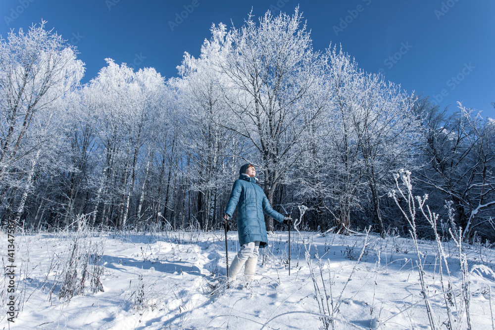 Senior woman walking in the winter forest using Nordic walking sticks. Active lifestyle, adventure concept. Nordic walking in winter Senior woman walking in the winter forest using Nordic walking sticks. Active lifestyle, adventure concept. Nordic walking in winter