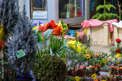 Flower shop at night