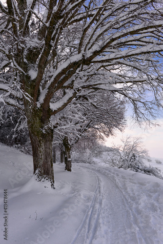 Winterlandschaft am Hohentwiel im Hegau © Ilhan Balta