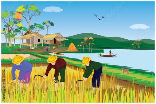 farmer harvest rice paddy field vector design