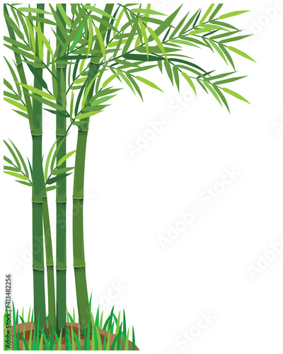 isolated bamboo tree on white background vector design