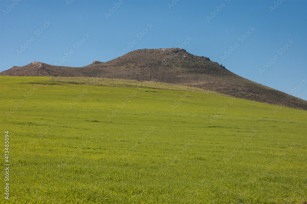 Fototapeta premium landscape with blue sky and clouds