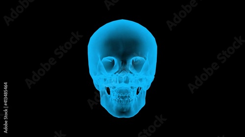 loopable of rotating Blue skeleton skull in x-rays style on black background.