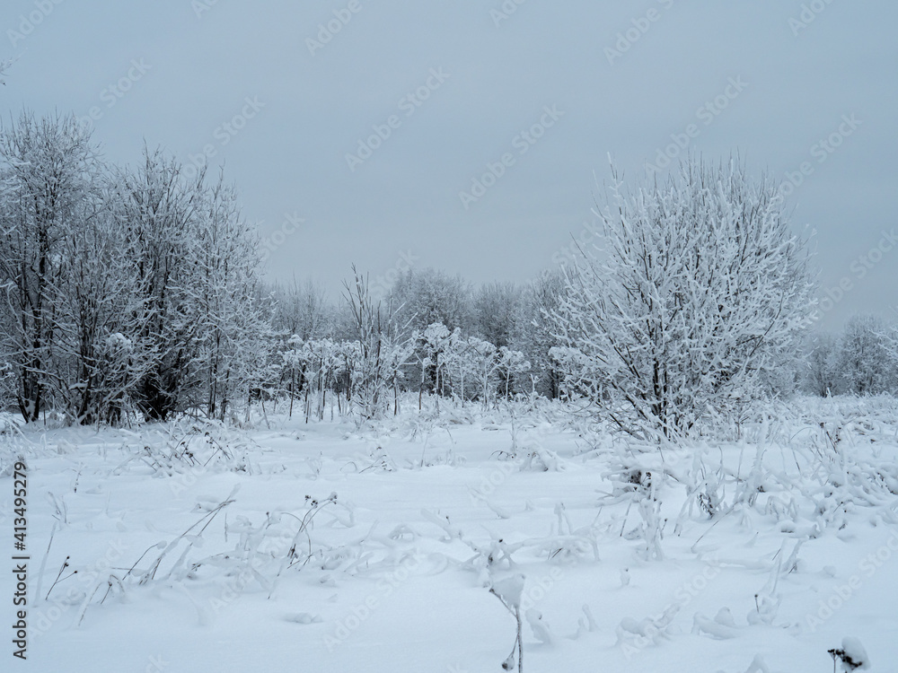Winter landscape trees in the snow. Winter landscape trees in the snow.