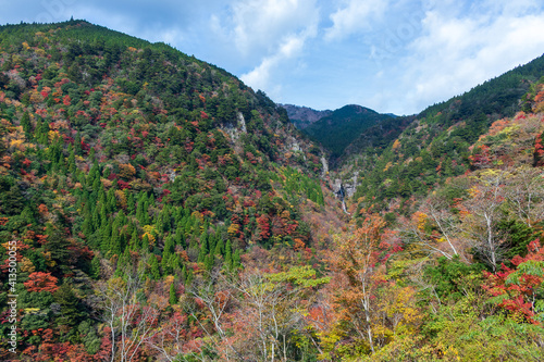 おおあれのたき 山奥の自然美 紅葉 （高知県 香美市）