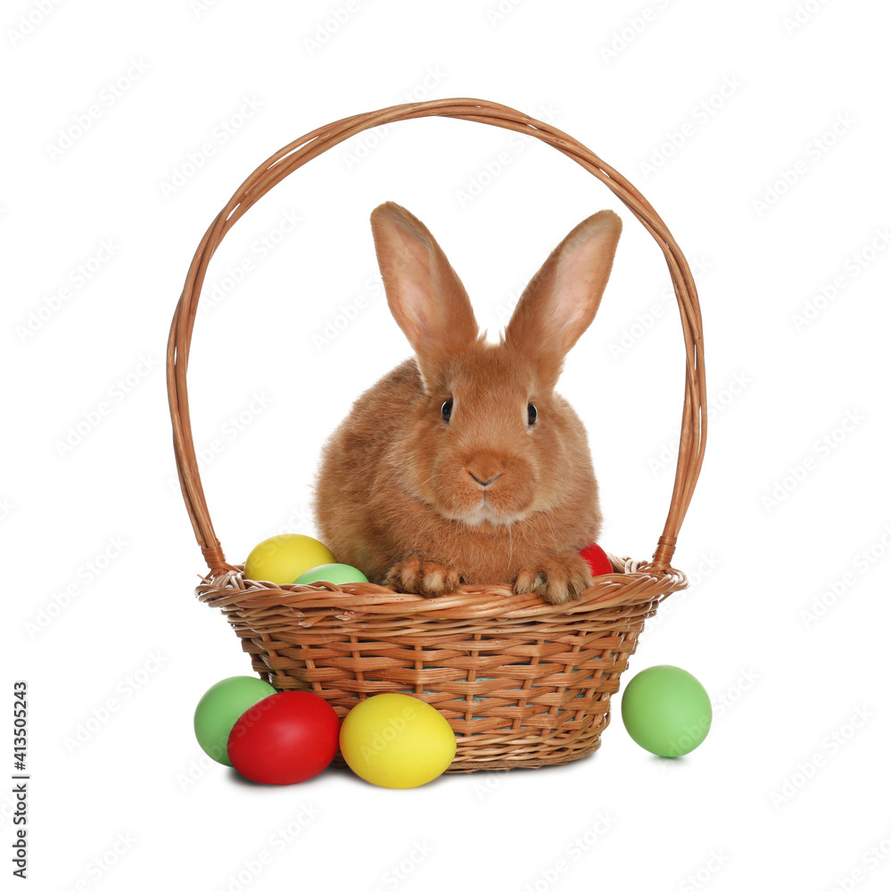 Adorable furry Easter bunny in wicker basket with dyed eggs on white background Adorable furry Easter bunny in wicker basket with dyed eggs on white background