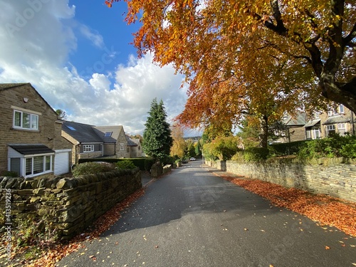 View down, Leylands Terrace, with old trees and housing, on an autumn day in, Bradford, Yorkshire, UK