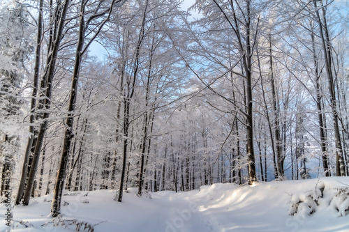 Baskid zimą © ŁukaszOBX